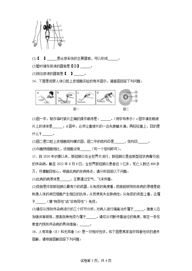 2022年辽宁省本溪市本溪县初中结业考试生物试题(含答案).doc第3页