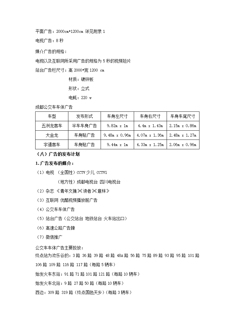 欢乐谷广告形象宣传策划.docx第8页