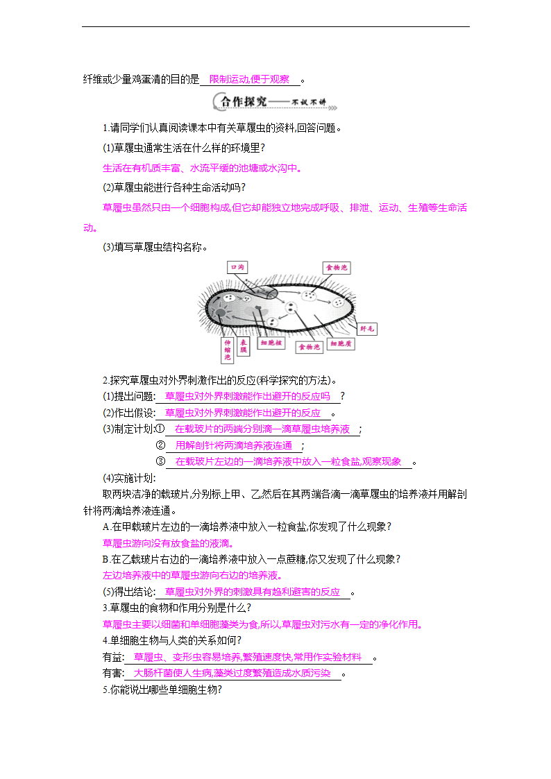 七年级生物上册第四章第三节《单细胞生物》导学案.doc第2页