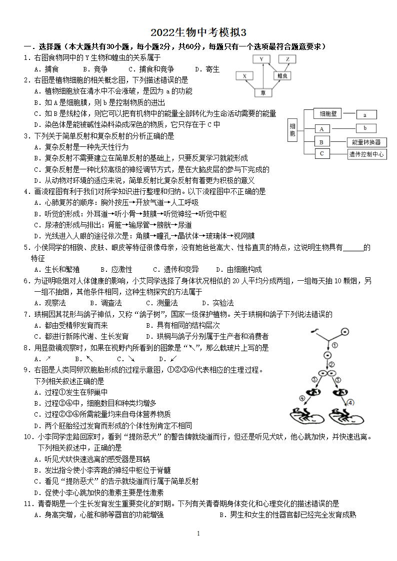 2022年广东省中考模拟3生物试题（word版含答案）.doc第1页