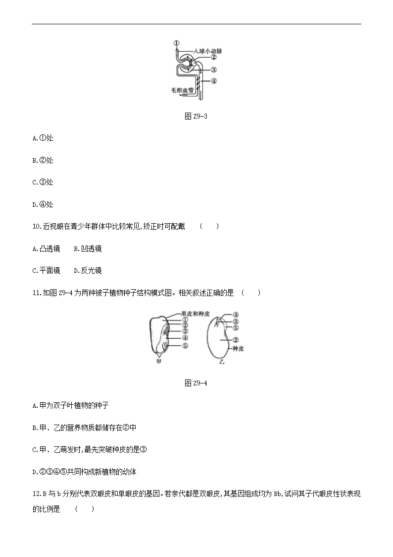 2021年江苏中考生物总复习综合训练(九) （word版 含答案）.doc第3页