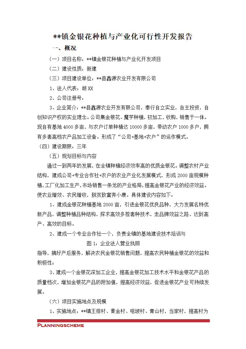 金银花种植与产业化可行性开发报告.doc第2页