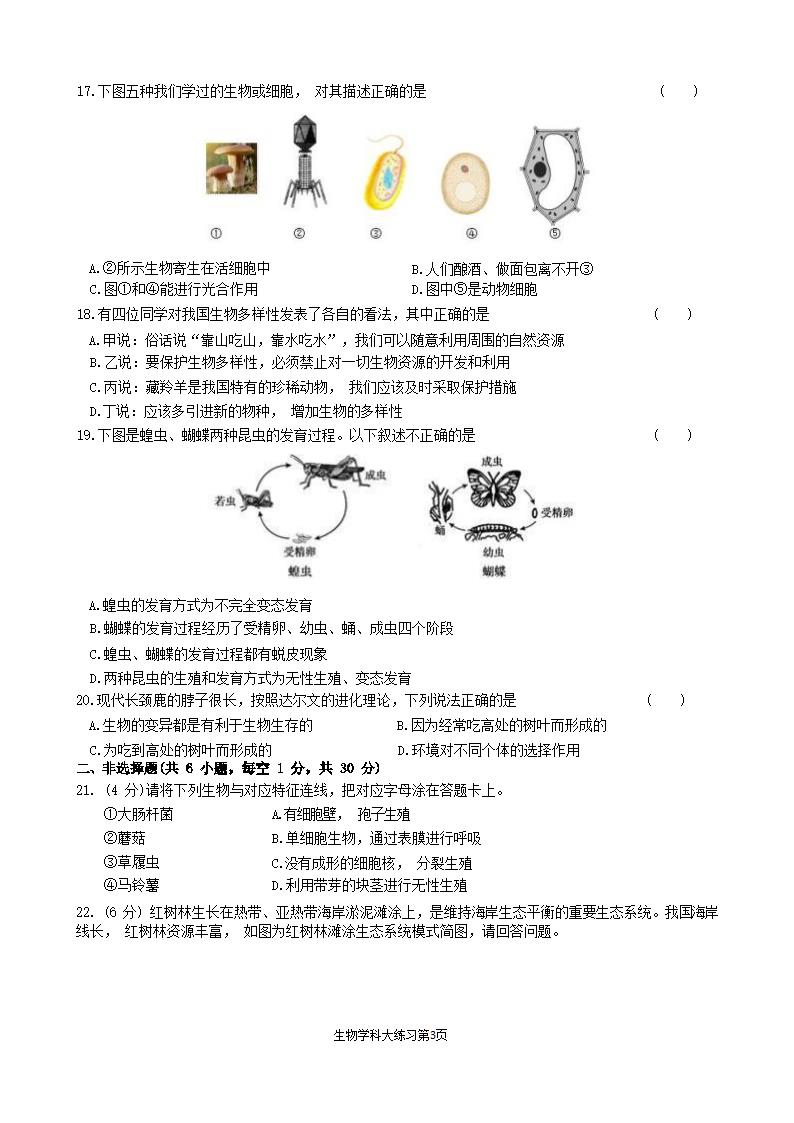 2022-2023学年人教版八年级下册生物期中试题（无答案）.doc第3页