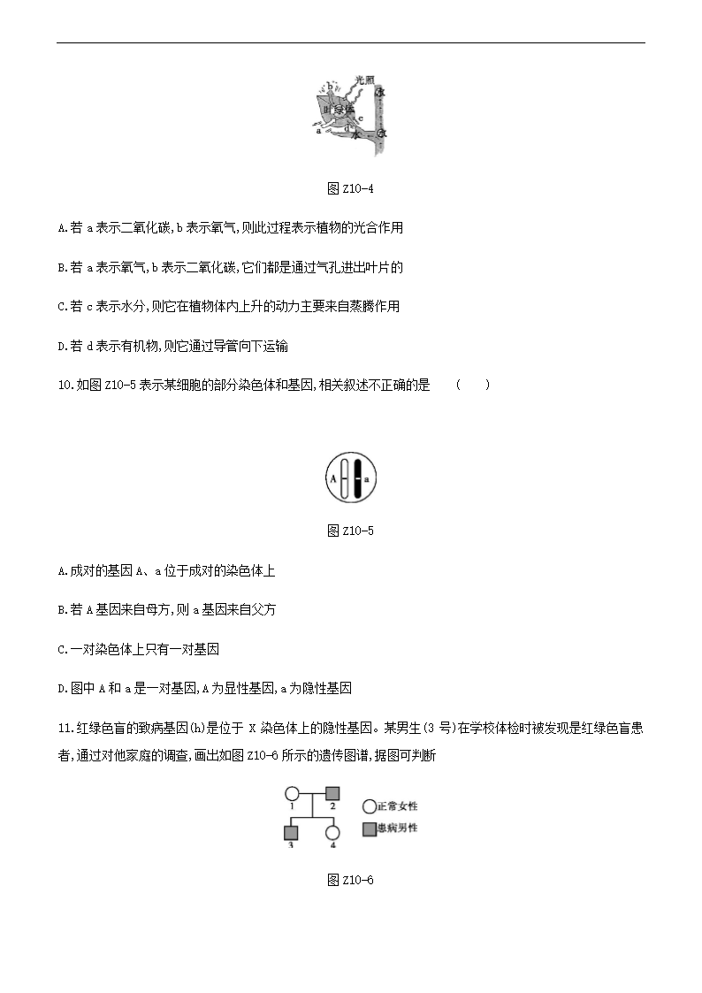 2021年江苏中考生物总复习综合训练（十 ）（word版 含答案）.doc第3页