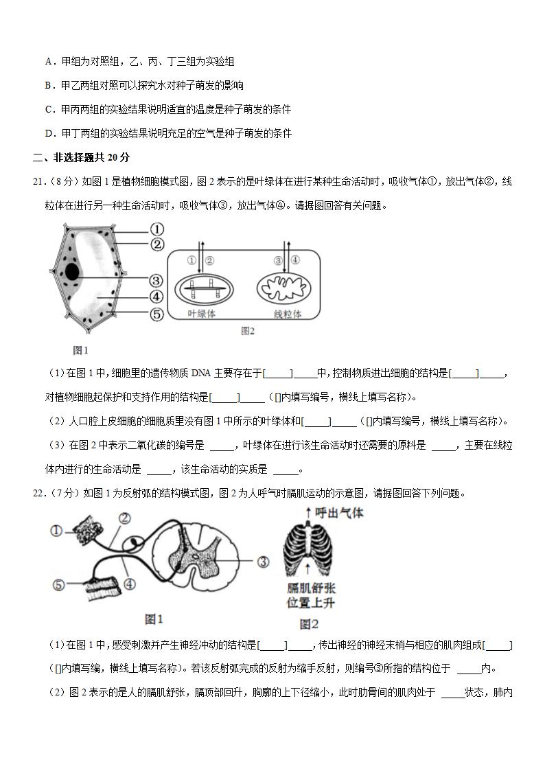 2021年湖北省黄石市中考生物试卷（word版含解析）.doc第4页