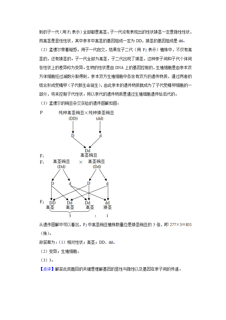 甘肃省武威市2022年中考生物模拟试卷（三）（解析版）.doc第11页