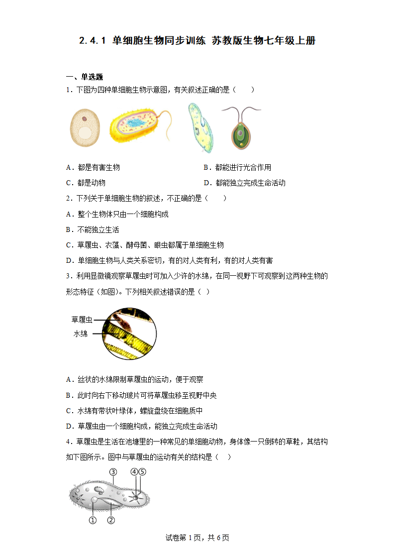 2.4.1 单细胞生物同步训练（含答案） 苏教版生物七年级上册.doc第1页