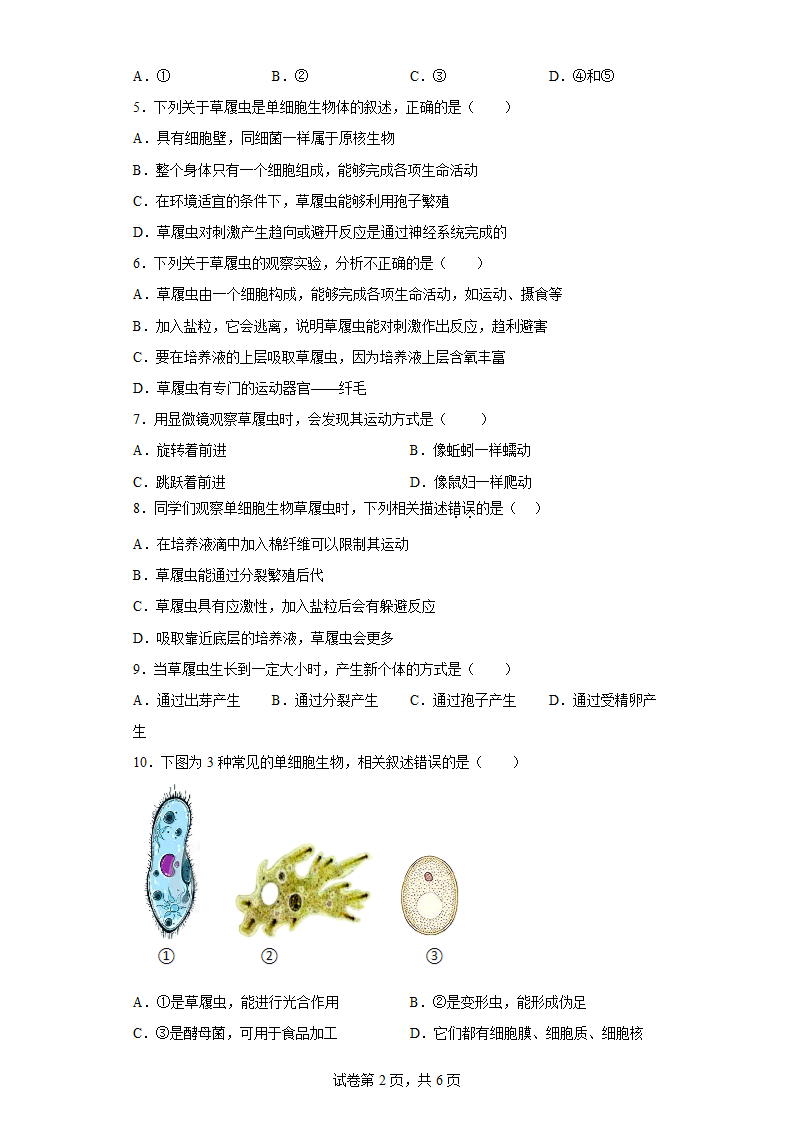 2.4.1 单细胞生物同步训练（含答案） 苏教版生物七年级上册.doc第2页