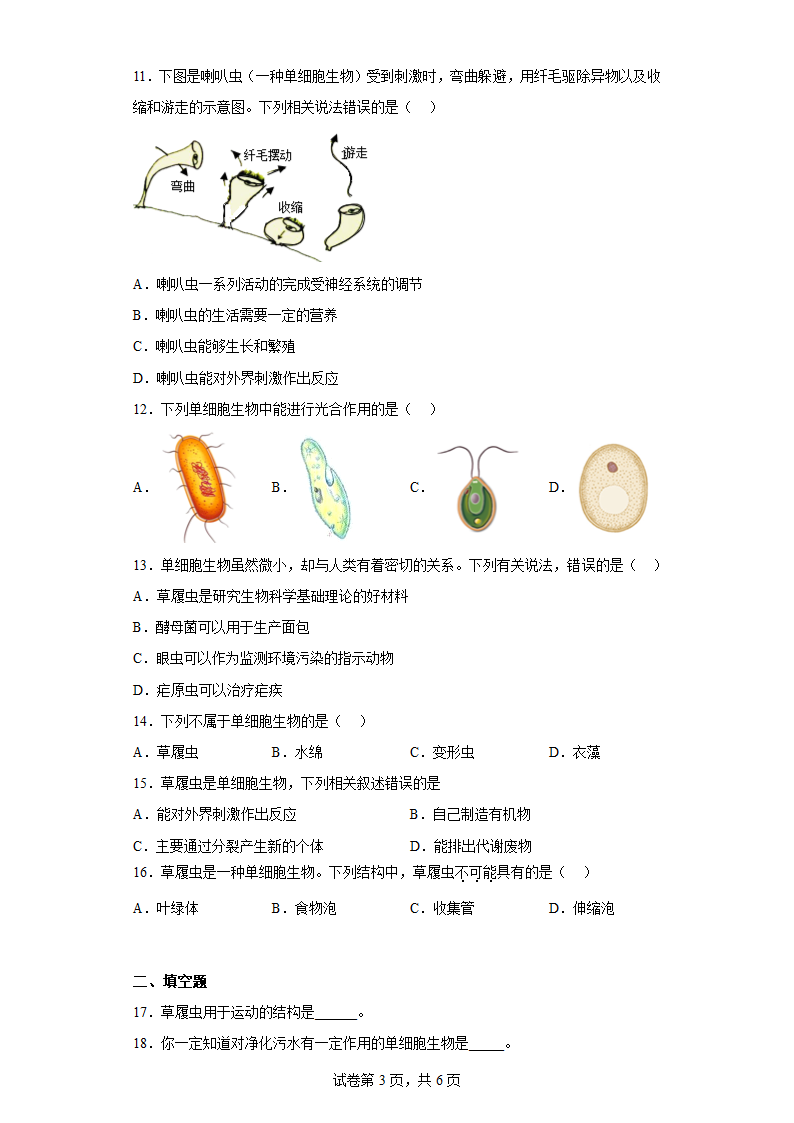 2.4.1 单细胞生物同步训练（含答案） 苏教版生物七年级上册.doc第3页