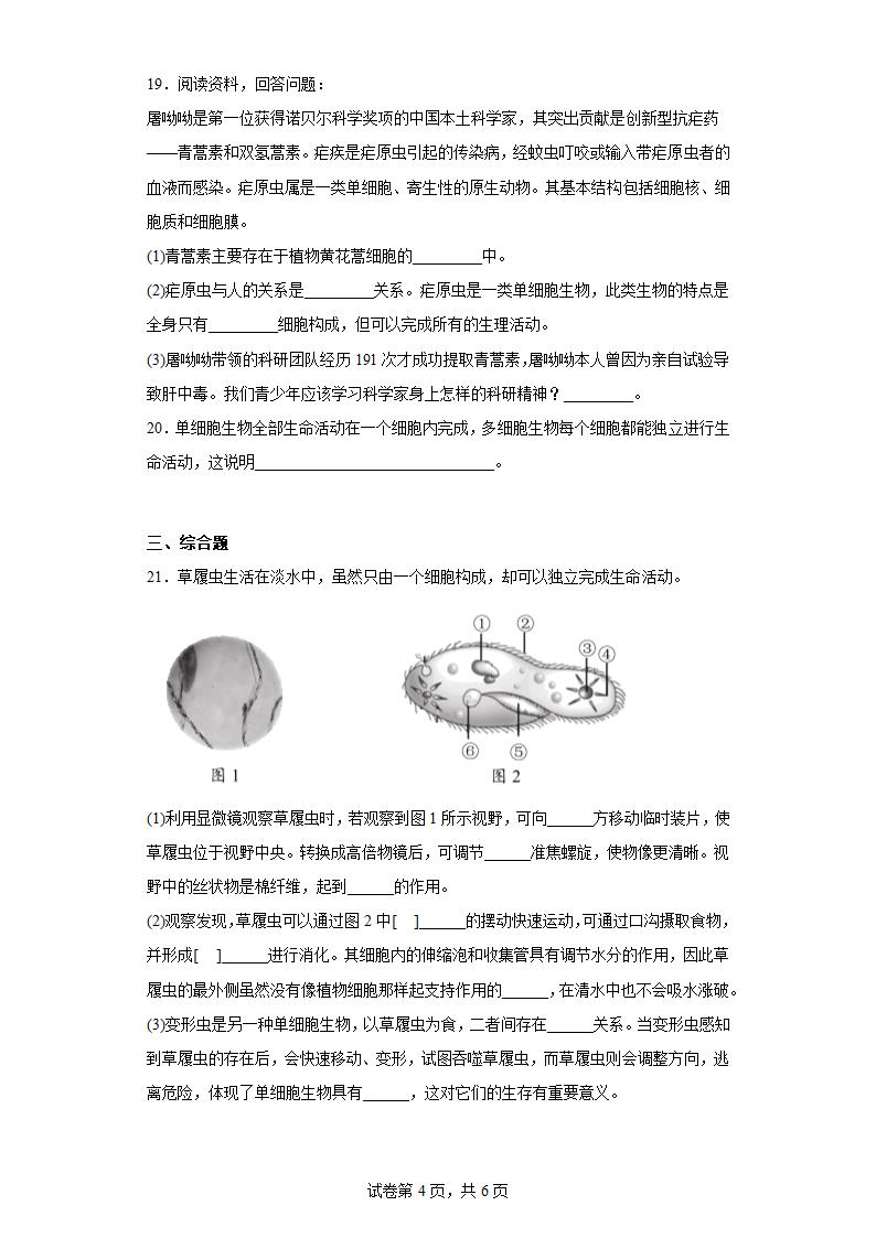 2.4.1 单细胞生物同步训练（含答案） 苏教版生物七年级上册.doc第4页