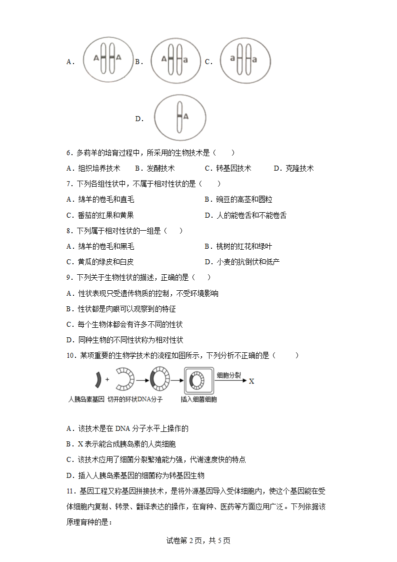 人教版八年级下册7.2.1基因控制生物的性状练习（含解析）.doc第2页