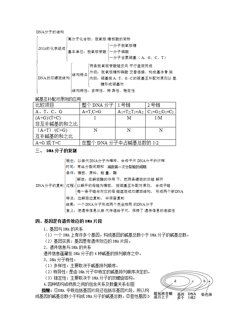 河北省张家口一中高一生物第三章《基因的本质》学案.doc第3页