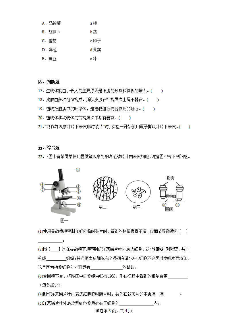 第二章观察生物结构达标训练七年级生物上册济南版（含解析）.doc第3页