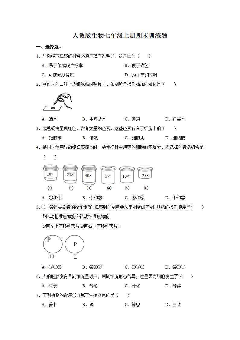 人教版生物七年级上册期末训练题 (word版  含答案）.doc第1页