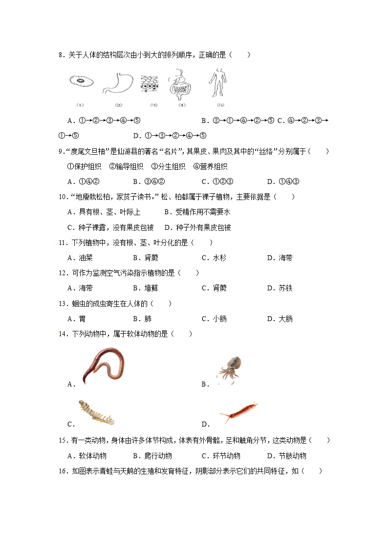 人教版生物七年级上册期末训练题 (word版  含答案）.doc第2页