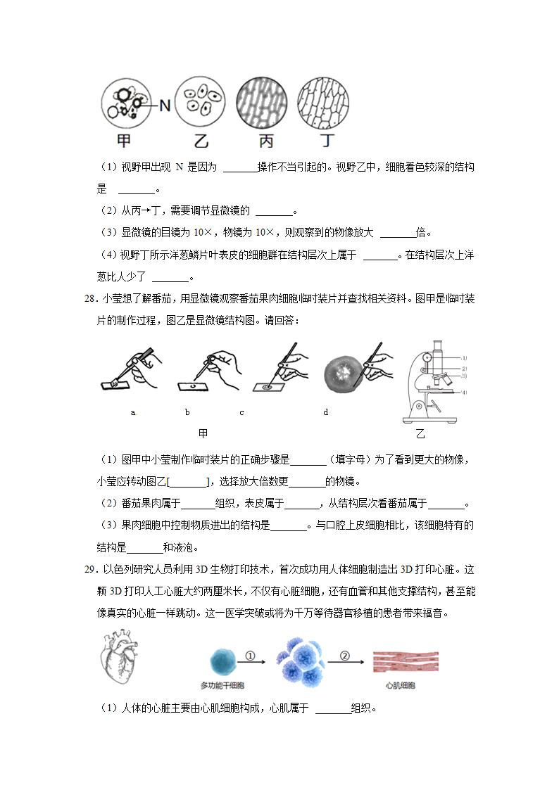 人教版生物七年级上册期末训练题 (word版  含答案）.doc第5页