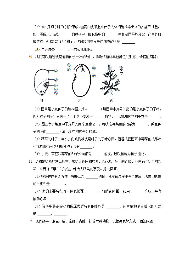 人教版生物七年级上册期末训练题 (word版  含答案）.doc第6页