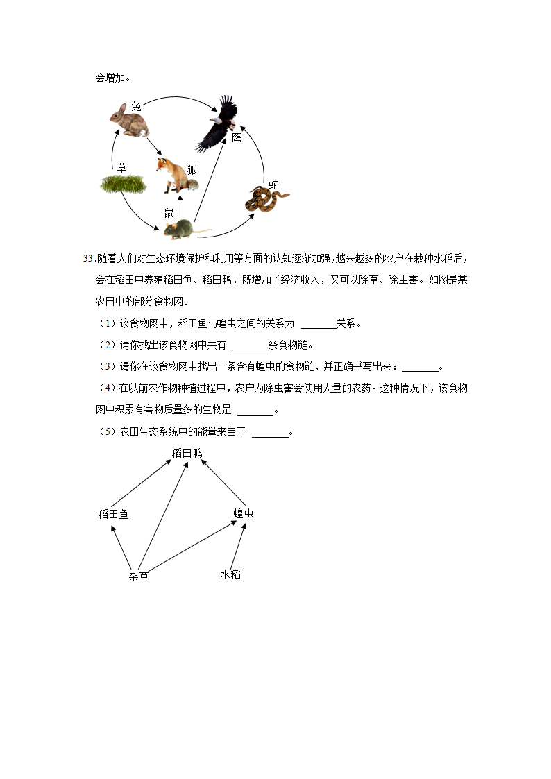 2022年生物中考复习第一单元 生物和生物圈（word版 含答案）.doc第7页