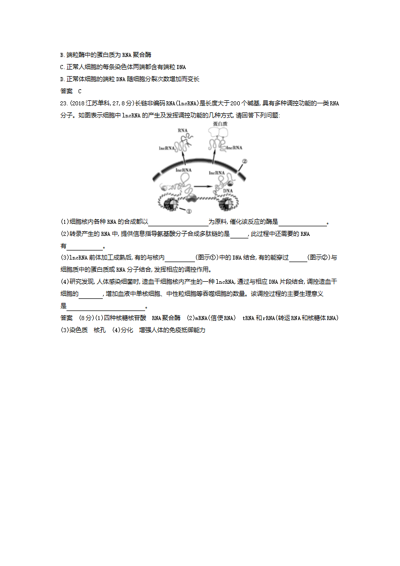 生物高考真题专项汇编：专题8 遗传的分子基础（含答案）.doc第5页