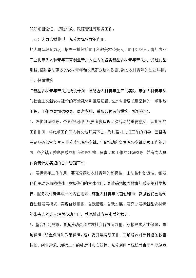 型农村青带头人成长计划实施方案.docx第3页