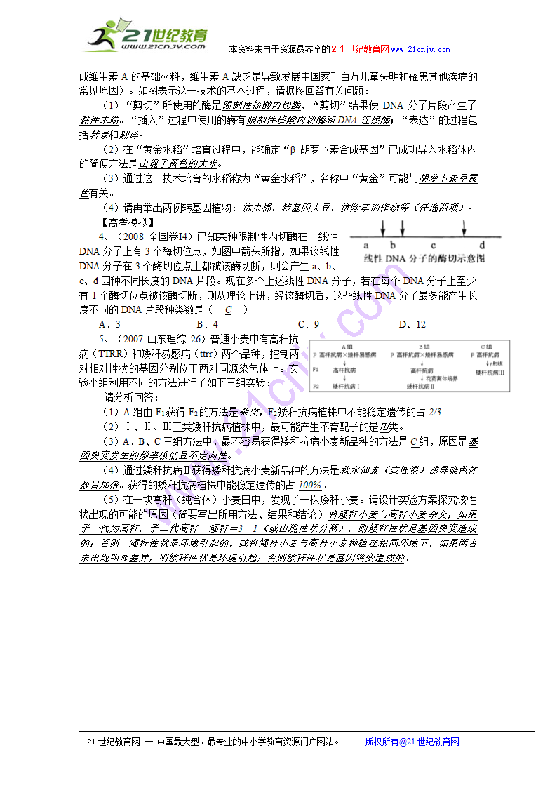 高中生物复习精讲精练（课题58）：基因工程.doc第2页