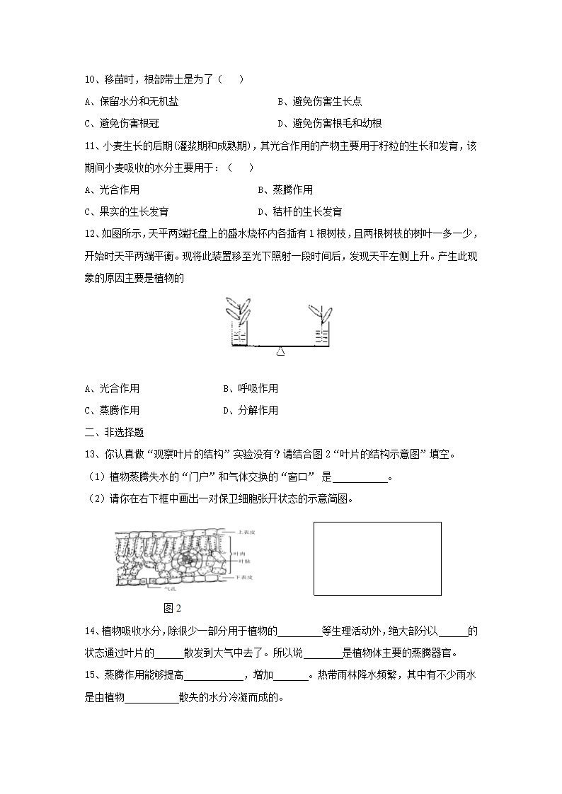 《第1节 绿色生物与生物圈中的水循环》同步练习2.doc第2页