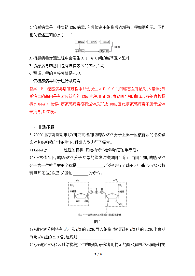 高考生物一轮复习专题作业13：基因的表达（含解析）.doc第7页