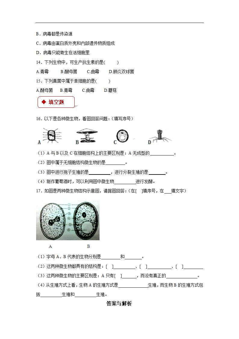 【同步练习】《神奇的微生物》（苏教）.docx第3页