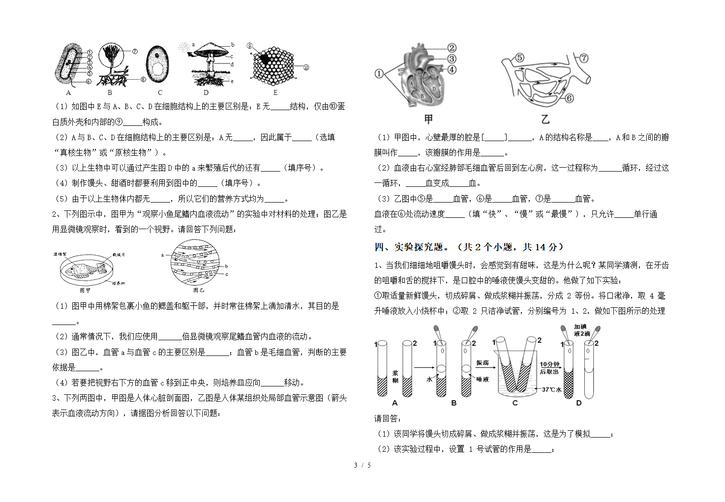 七年级生物下册期中考试(完整版)（含答案）.doc第3页