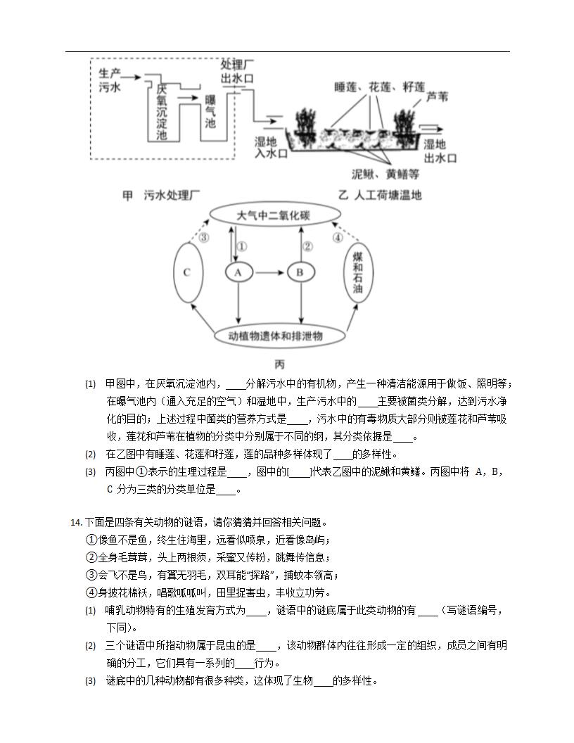 人教版八上6.2认识生物的多样性 同步练习（含解析）.doc第3页