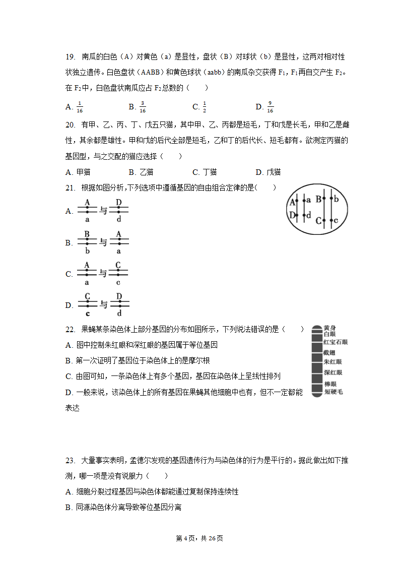 2022-2023学年福建省三明市永安三中高一（下）第一次月考生物试卷（含解析）.doc第4页