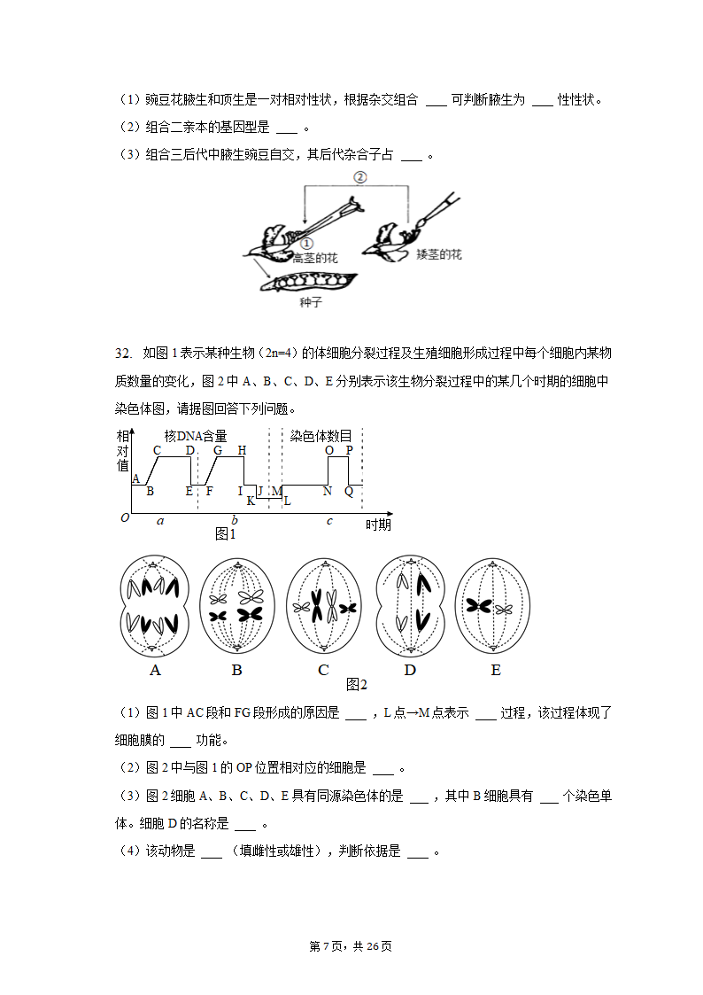 2022-2023学年福建省三明市永安三中高一（下）第一次月考生物试卷（含解析）.doc第7页