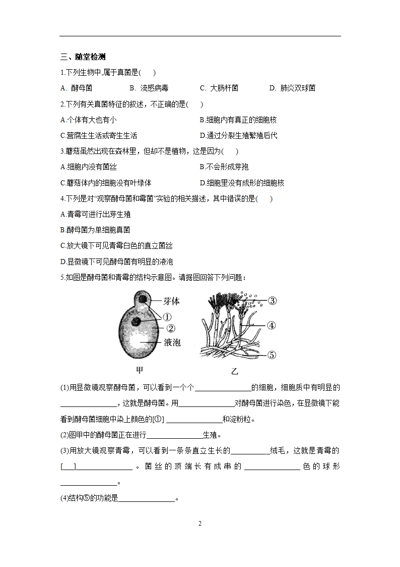 人教版 生物 八年级上册 5.4.3 真菌（学案＋习题＋答案）.doc第2页