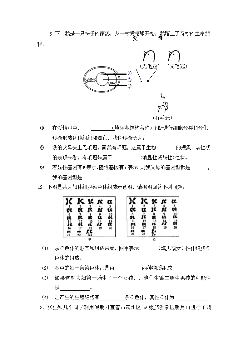 人教版八年级生物下册期末模拟检测试卷测试题（有答案）.doc第3页