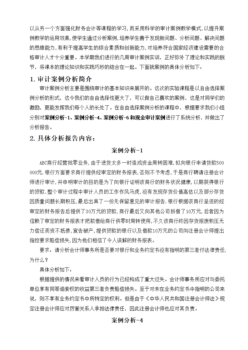 审计分析报告第2页