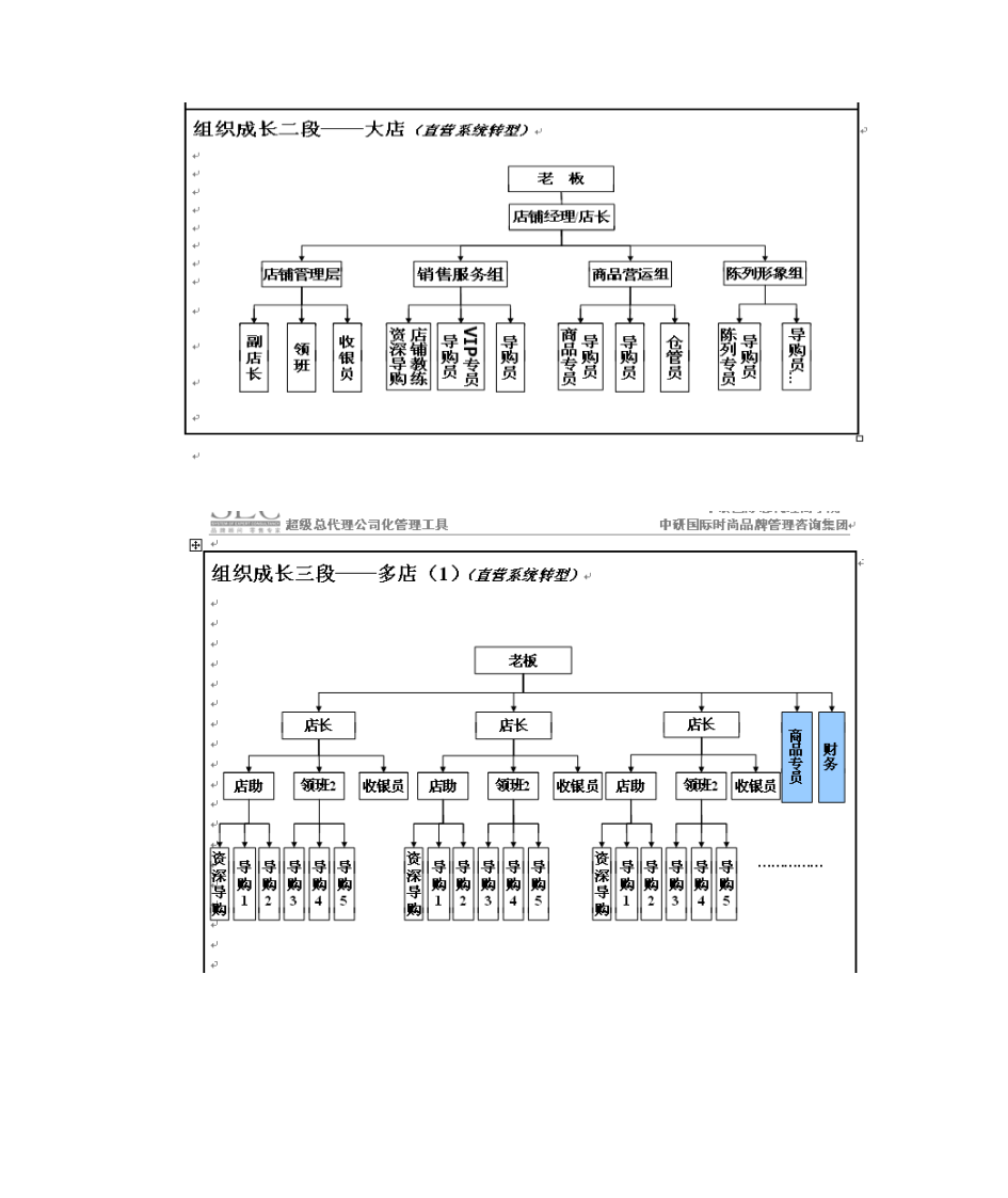 服装总代理组织架构第2页