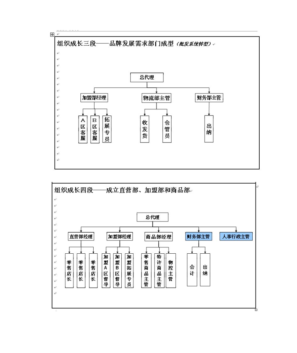 服装总代理组织架构第5页