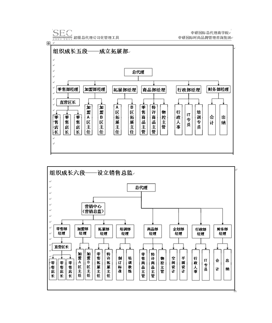 服装总代理组织架构第6页