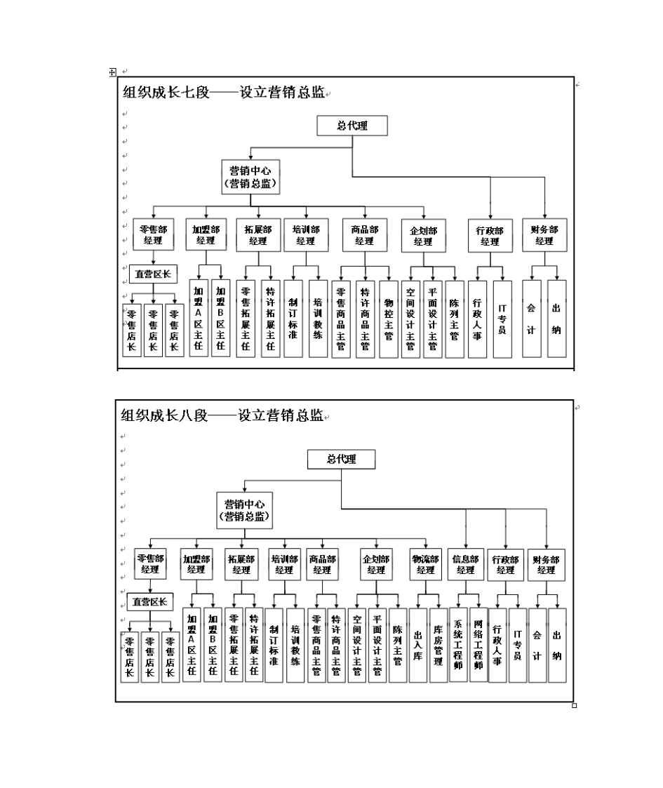 服装总代理组织架构第7页