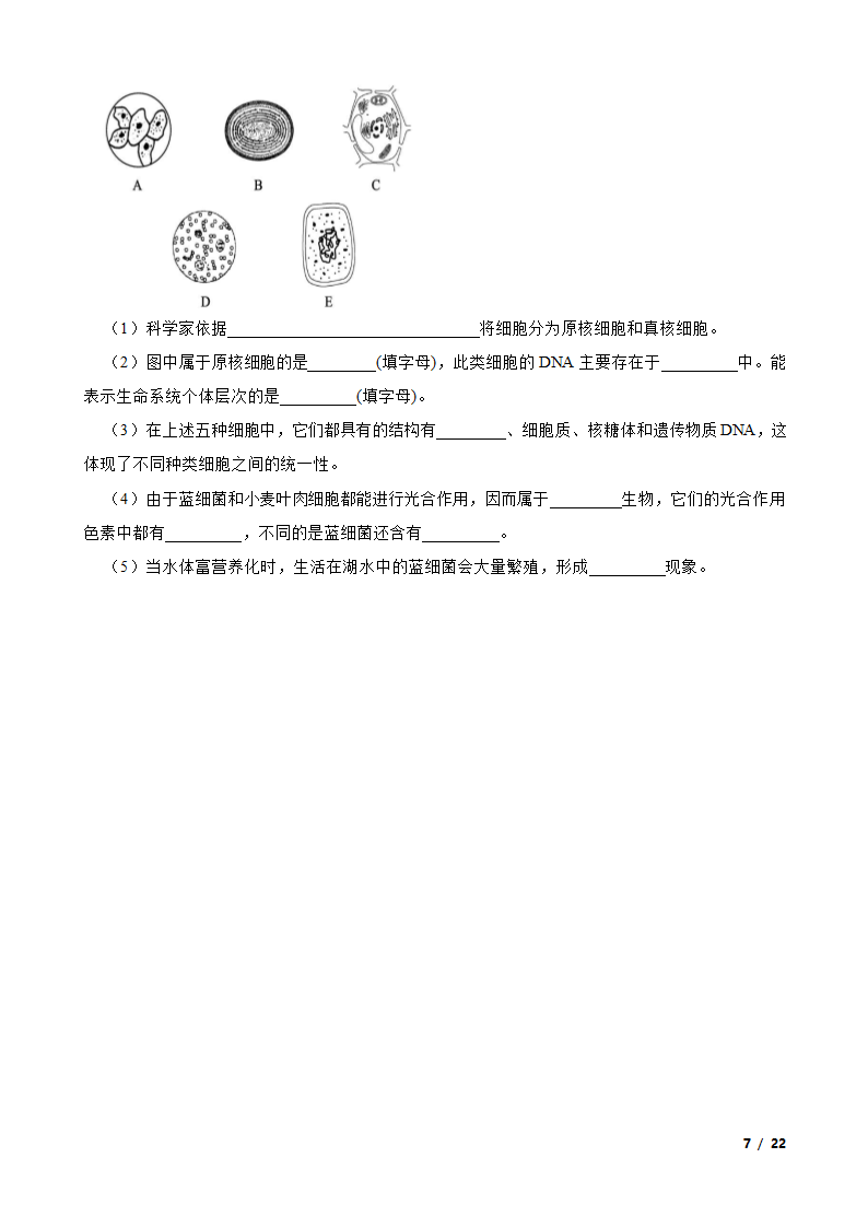 备考2024年高考生物一轮基础复习专题1 走进细胞.doc第7页