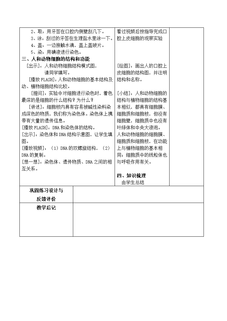 苏教版七上生物 3.2人和动物细胞的结构和功能  导学案.doc第2页