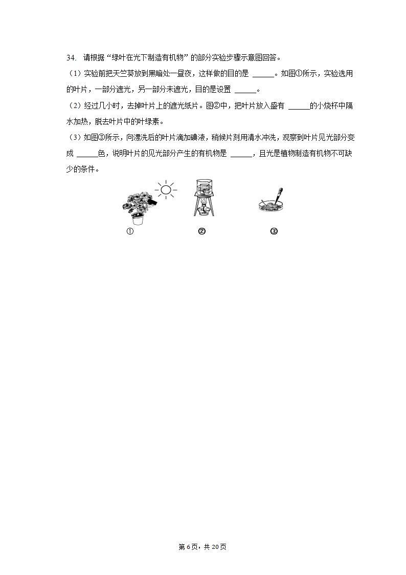 2022-2023学年天津七中七年级（上）期末生物试卷（含解析）.doc第6页