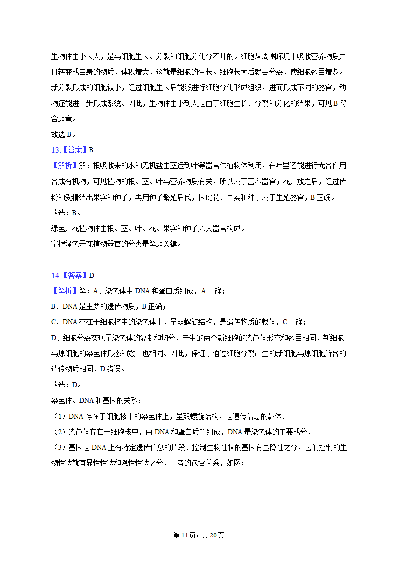 2022-2023学年天津七中七年级（上）期末生物试卷（含解析）.doc第11页