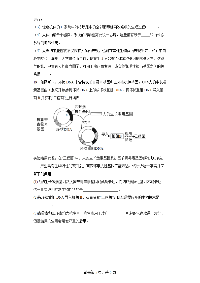 八年级下册7.2.1基因控制生物的性状 同步练习（word版含解析）.doc第5页