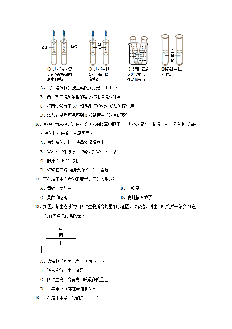 苏教版生物七年级上册期末复习题(word版含答案）.doc第4页