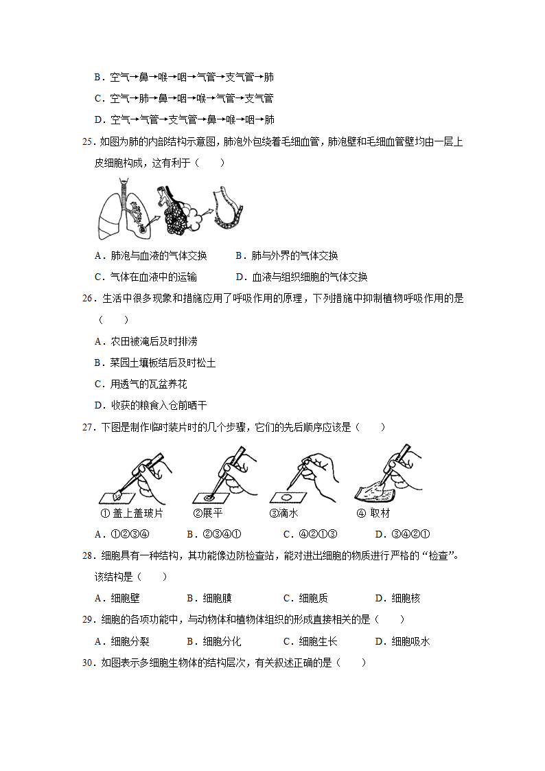 苏教版生物七年级上册期末复习题(word版含答案）.doc第6页