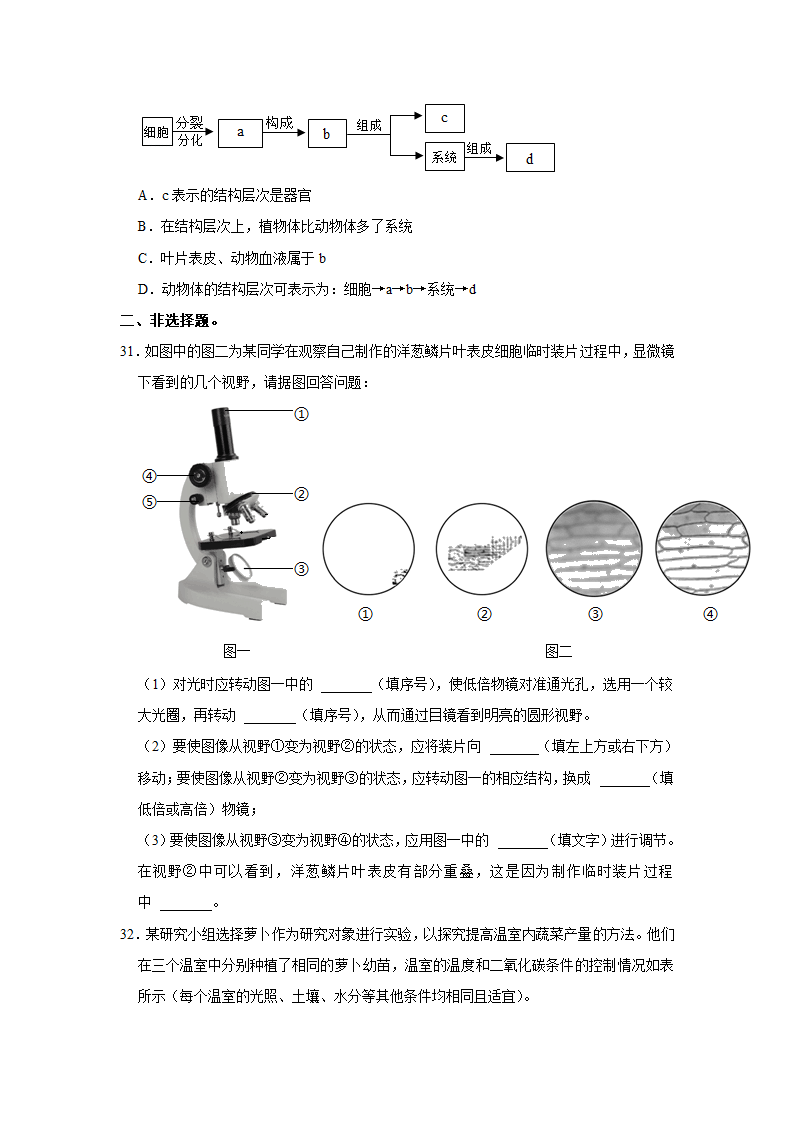 苏教版生物七年级上册期末复习题(word版含答案）.doc第7页