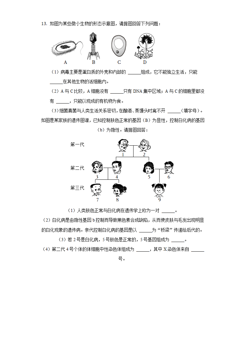 2022年安徽省蚌埠市中考生物一模试卷(word版含解析).doc第4页