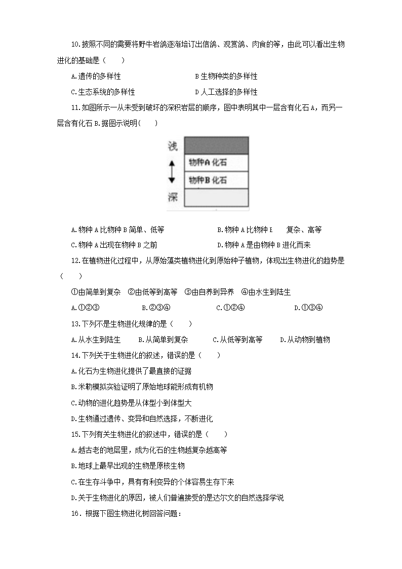 人教版生物八年级下册7.3.2生物进化的历程 一课一练（有答案）.doc第2页