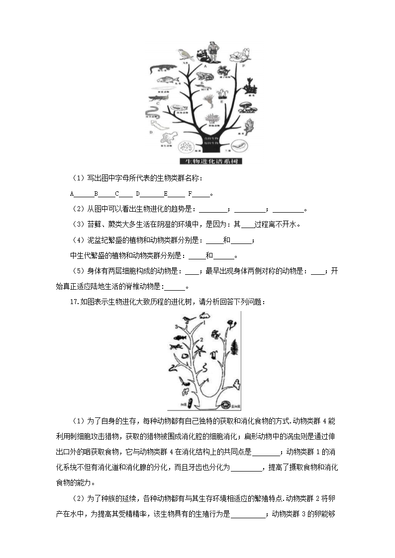 人教版生物八年级下册7.3.2生物进化的历程 一课一练（有答案）.doc第3页